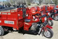 Reemplazan carros tirados por caballos por motocarros