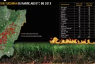 Se incrementó un 77% el número de focos  de calor registrados en agosto, en Tucumán