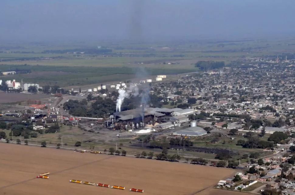 EL EFECTO DEL CLIMA. La sequía y luego la helada causaron la pérdida de rendimiento de la caña de azúcar: Hubo una merma de la producción. LA GACETA / FOTO DE JORGE OLMOS SGROSSO (ARCHIVO)