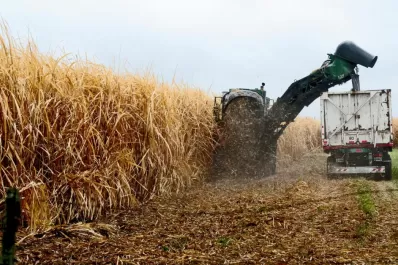 Es muy difícil, y en algunos casos será imposible, recuperar un buen nivel de rendimiento cultural