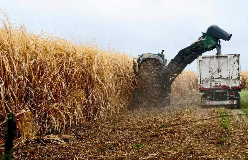 CAMPOS MOJADOS. Las lluvias del viernes, sábado y domingo de la semana pasada no impidieron que las cosechadoras siguieran levantando la producción. LA GACETA / FOTO DE FRANCO VERA