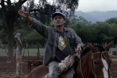 Siete días de cine y muchas novedades