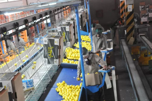 Los limones en el Lejano Oriente