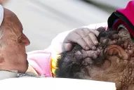 La foto de Francisco junto a un enfermo y conmueve al mundo