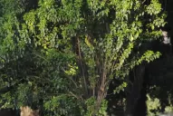 Una charla entre amigos ¿Habrá sorpresas?