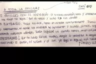 Espérenme, no puede faltar mucho, escribió Camila Speziale a sus compañeros de Greenpeace