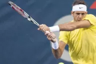 Otra vez Del Potro se bajó de la Copa Davis