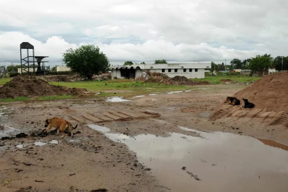 APRESAMIENTO. El gremio mercantil SEOC comenzó con los trabajos de preparación del terreno para la construcción de un complejo deportivo. LA GACETA / FOTO DE INES QUINTEROS ORIO