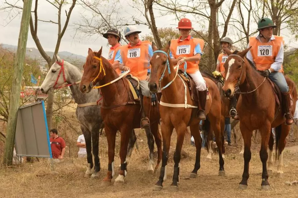 PREPARADOS. Ejemplares de varias razas competirán en Famaillá. 