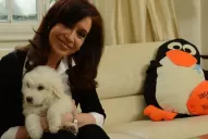 Cristina Kirchner reapareció con un video: Les quiero agradecer a todos su preocupación