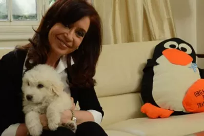 Cristina Kirchner reapareció con un video: Les quiero agradecer a todos su preocupación