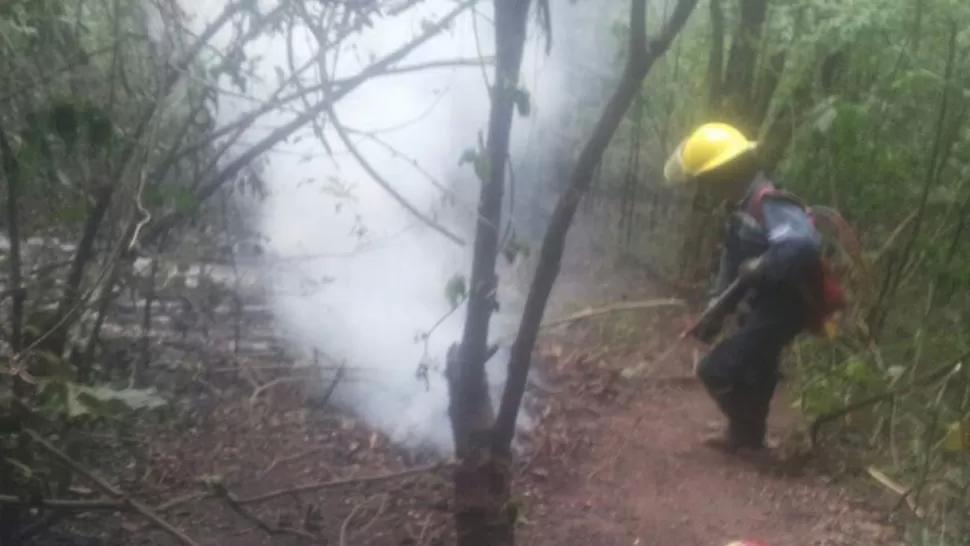 SIN DESCANSO. Los bomberos de Yerba Buena trabajan desde el domingo para extinguir el fuego en Villa Nougués. GENTILEZA HERNAN RODRIGUEZ SALAZAR