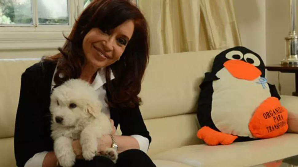 NUEVA ETAPA. Cristina se mostró sonriente, con regalos y un perro. FOTO TOMADA CFKARGENTINA.COM