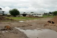 La Comisión de Patrimonio dictaminó que se paralicen obras en el Parque Batalla de Tucumán