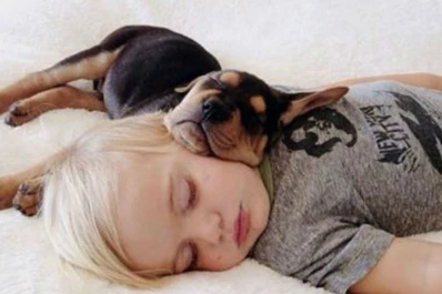 Las fotos de un niño y su perro durante la siesta conmueven al mundo