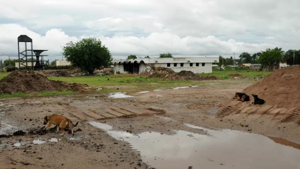 APRESTAMIENTO. El gremio mercantil SEOC comenzó con los trabajos de preparación del terreno para la construcción de un complejo deportivo. LA GACETA / FOTO DE INES QUINTEROS ORIO