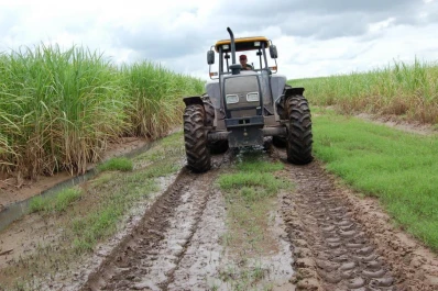 La fertilización se atrasa por la falta de lluvias