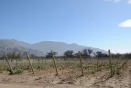 Escuela de enología