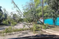 La tormenta se ensañó con Yerba Buena