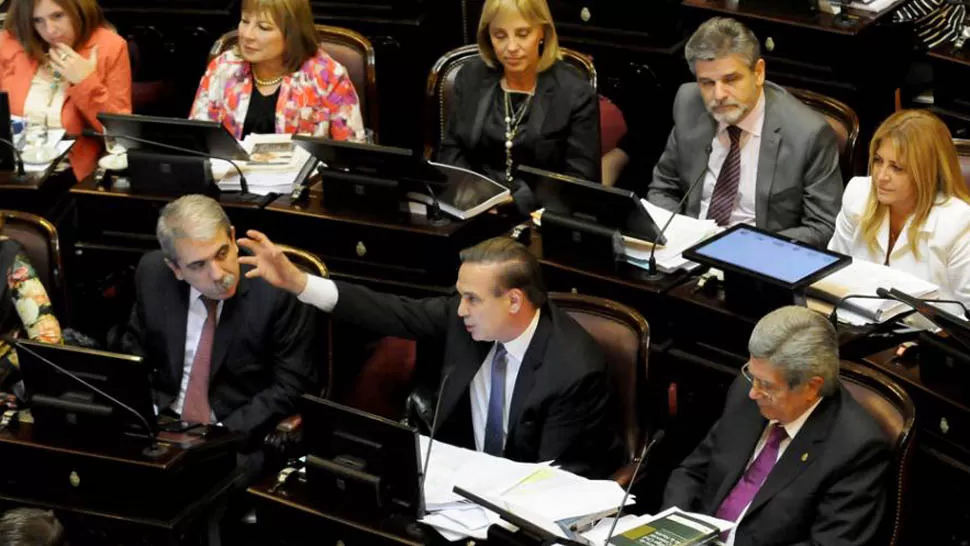 DISCURSO. PIchetto clamó para que Diputados corrija los errores del Código Civil. FOTO TOMADA DE TN.COM.AR