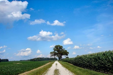 Al agua, poca o mucha, hay que cuidarla