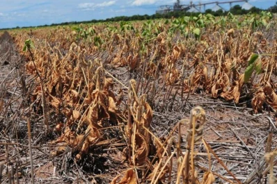 Las deficiencias hídricas deben servir para definir la estrategia agronómica para 2014