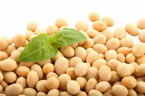 Distinguen a Nidera por su trabajo en favor de la sustentabilidad agropecuaria