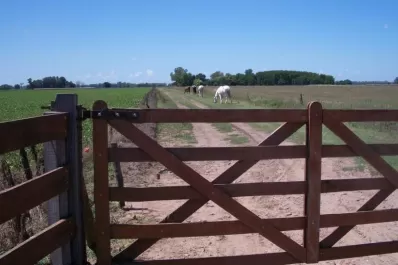 La Sociedad Rural le pide a Alperovich que hasta junio no suban las valuaciones