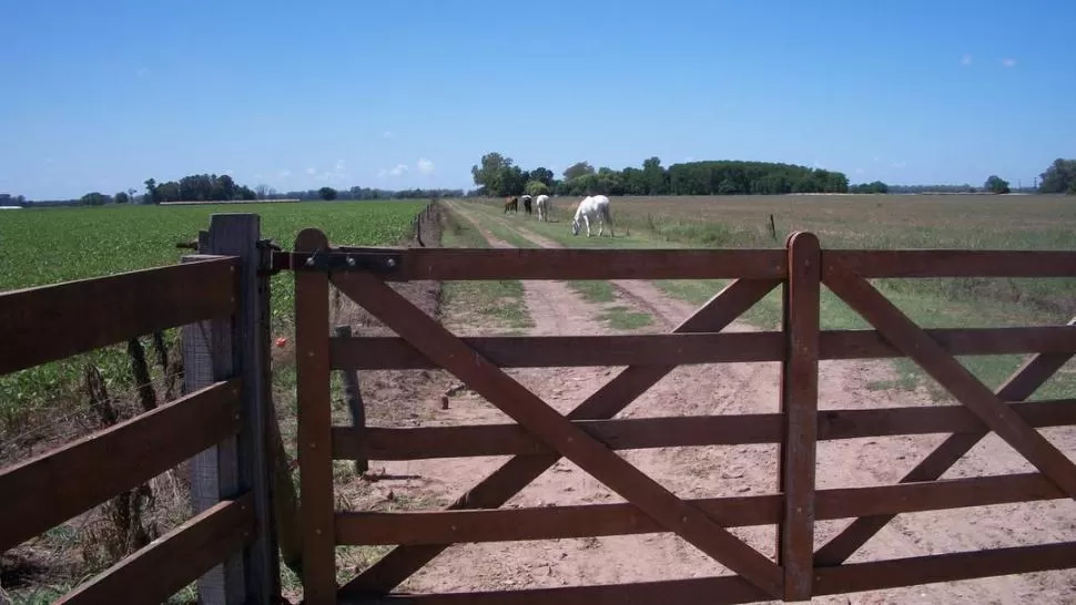 FRENO. Los productores quieren que se mantenga el valor de sus campos. DELSECTOR.COM