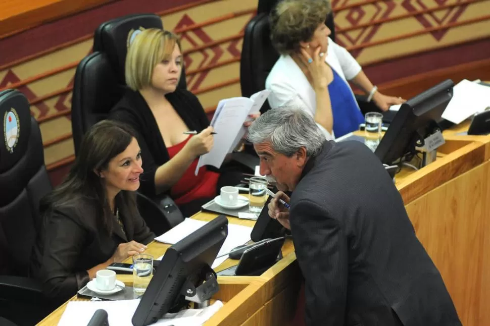 NI SIQUIERA UN TERCIO. Sin contar a Elías y a Vargas Aignasse, la representación de mujeres en la Legislatura alcanza a poco menos del 20,5%. LA GACETA / FOTO DE ARCHIVO