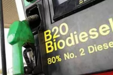 El biodiésel que no comprará Europa se volcará en el mercado local