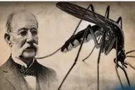 ¿Quién fue Carlos Juan Finlay?