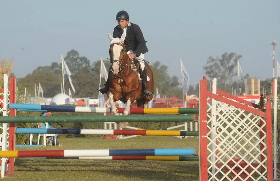 RUMBO AL TRIUNFO. Ricardo Piola cumplió una gran labor con “LF CT Lancelot”. 