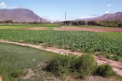 Presentan proyectos para comunidades agrarias de Jujuy