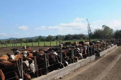 “Nuestra salida está en transformar granos en carne”