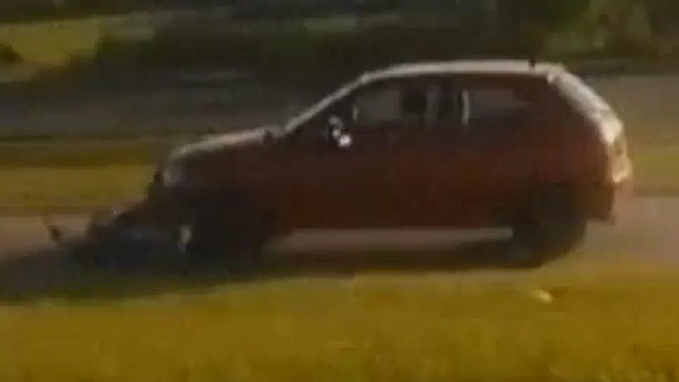 IMAGEN DE VIDEO