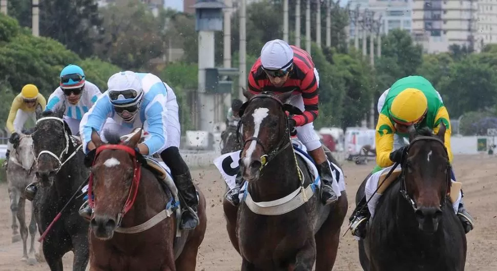 EMOTIVO FINAL EN “LAS LUCES”. Adeso (izquierda) contó con la excelente conducción del jinete Roberto “Saviola” Robledo para vencer a los mendocinos Pixar (centro) y Leopard’s Dream en Palermo. 