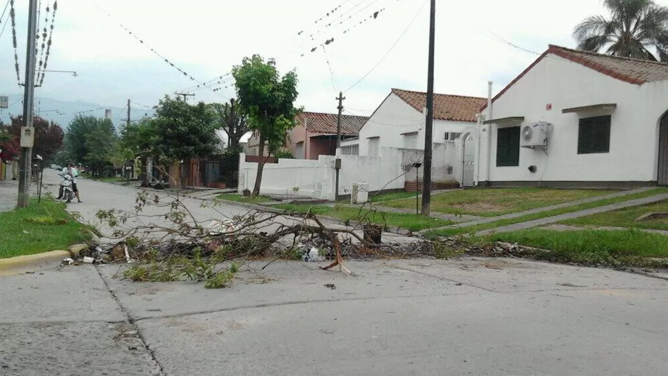 LA GACETA / FOTO DE SOLEDAD NUCCI