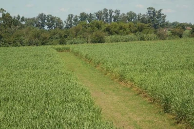 “La mayoría de los pequeños y medianos productores estamos fundidos”