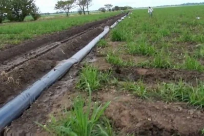 “Riego no hacemos porque falta agua e infraestructura”