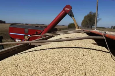 Apuntan a la comercialización de productos microbiológicos