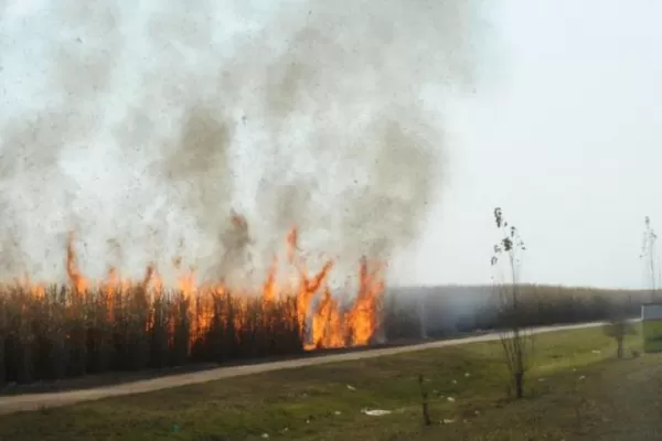 Apuestan a que la bolsa tenga un precio coherente