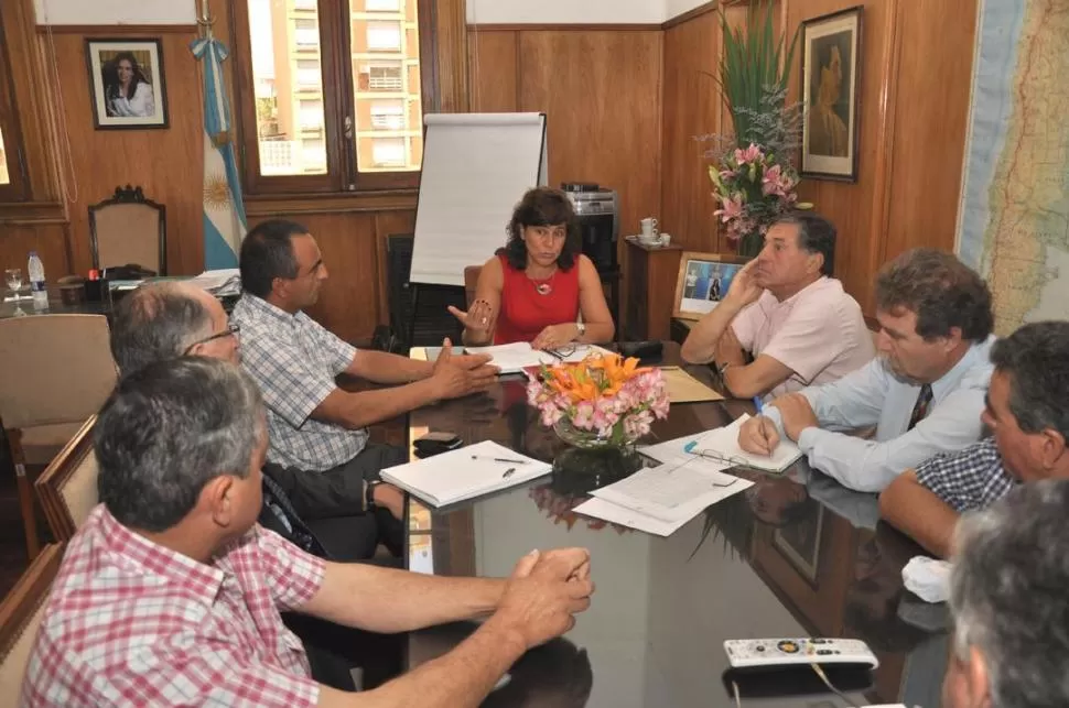 PROPUESTAS. Los cooperativistas y la titular de la Secretaría de Desarrollo Rural y Agricultura Familiar, Carla Campos Bilbao, durante la última reunión. gentileza subsecretaría de agricultura familiar