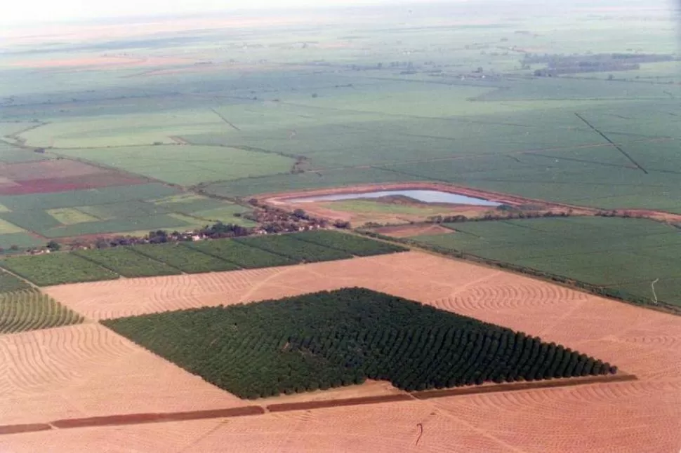 AUMENTAR LA PRODUCCION. Los productores disponen de técnicas para incrementar rendimientos, pero faltan incentivos y certezas en la política agropecuaria. 