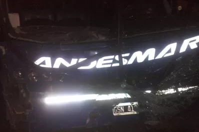 Un ómnibus de larga distancia chocó a una yegua y el chofer evitó una tragedia