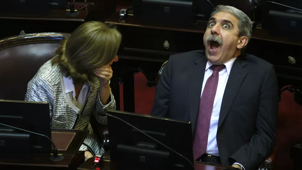 DISTENDIDOS. Beatriz Rojkés de Alperovich y Aníbal Fernández durante la sesión de ayer del Senado. DYN