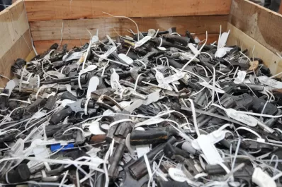 La Justicia salteña entregó más de 2.500 armas al Renar