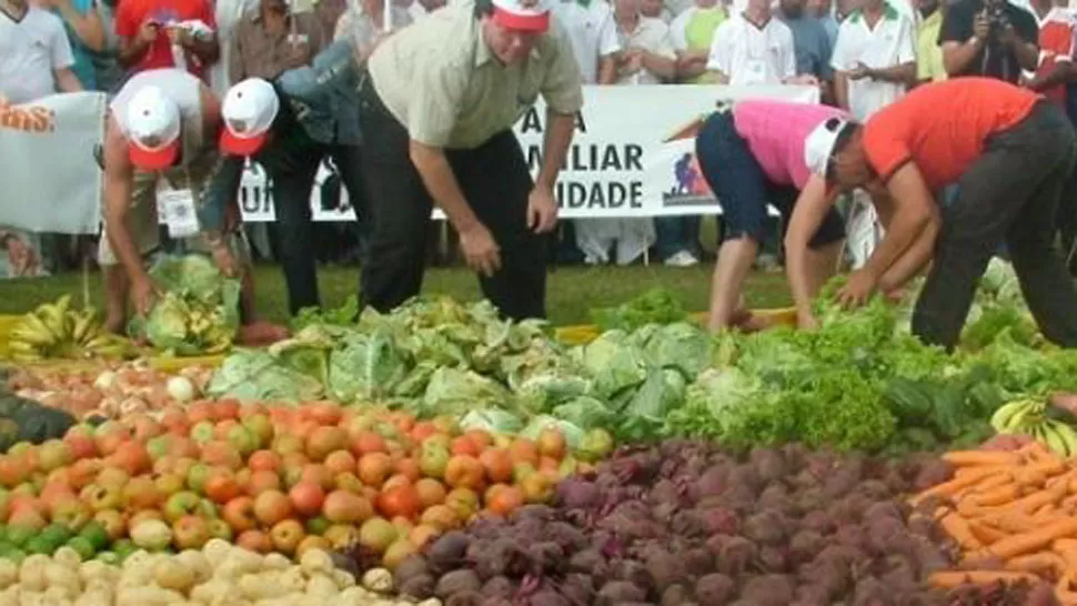 EN PEQUEÑA ESCALA. La ayuda nacional está destinada también a los productores de agricultura familiar. FOTO DE INFOCAMPO.COM.AR