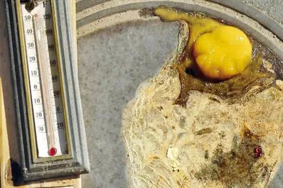 Ardió Loreto: lograron cocinar un huevo al sol