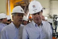 Por la crisis de energía, De Vido pidió a los empresarios no hacerse los chanchos rengos